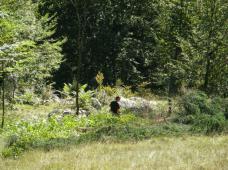 Klik za večjo sliko